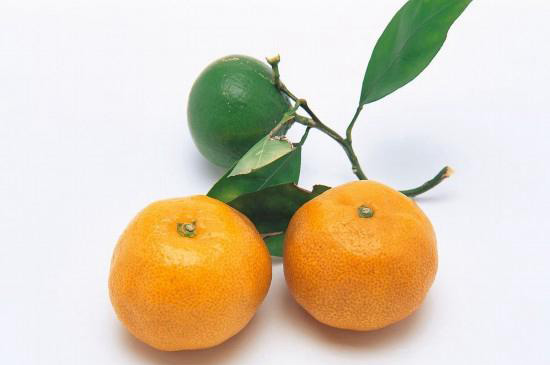 橘子的功效作用和营养价值
