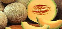 甘肃黄河蜜瓜什么时候成熟 甘肃黄河蜜瓜的营养价值和食用方法
