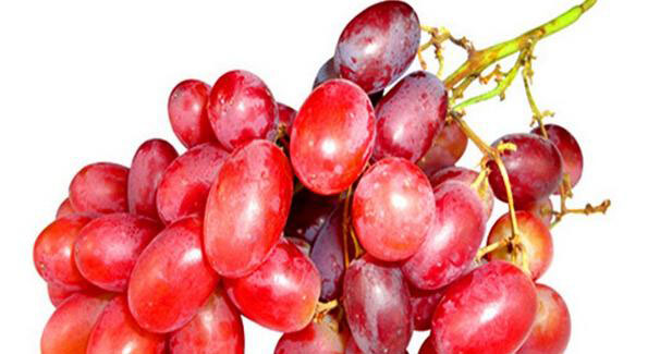 红葡萄和红提的区别