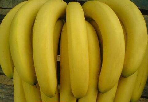吃香蕉的禁忌 香蕉不能和什么一起吃