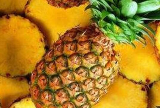 金菠萝怎么挑选 购买金菠萝的方法技巧