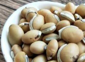 炒白扁豆的功效与作用及药用价值