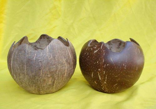 椰壳的功效与作用 椰壳的药用价值有哪些