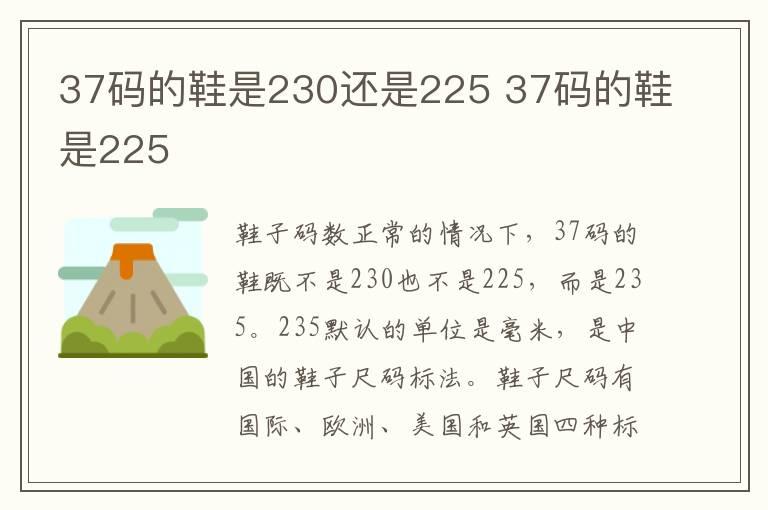 37码的鞋是230还是225 37码的鞋是225