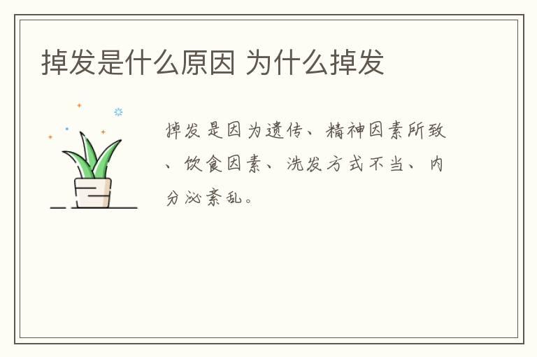 bb霜可以直接涂在脸上吗 bb霜可不可以直接涂在脸上