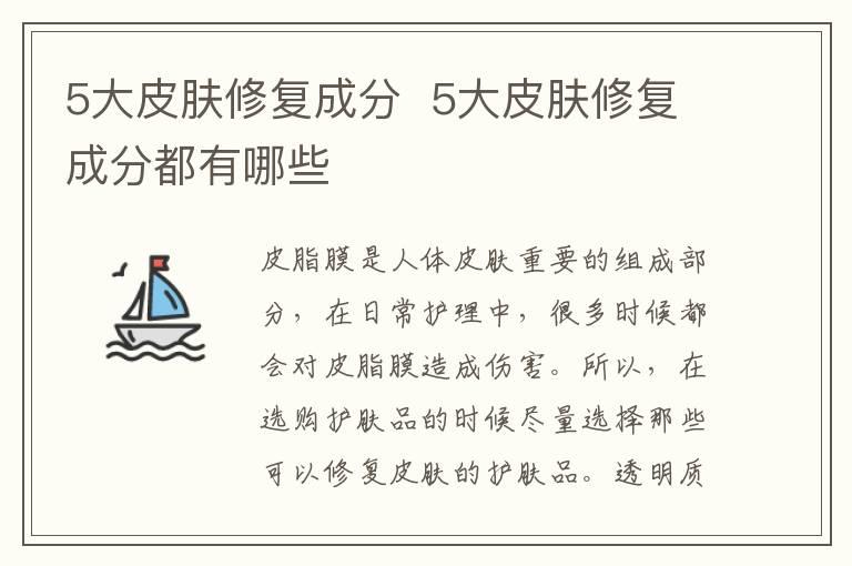 资生堂心机粉饼粉扑用法 资生堂心机粉饼怎么样