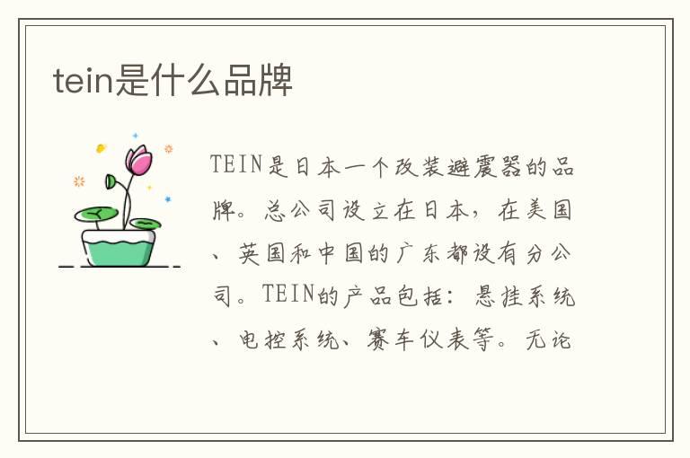 tein是什么品牌