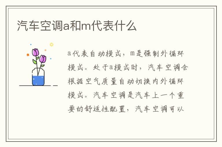 汽车空调a和m代表什么