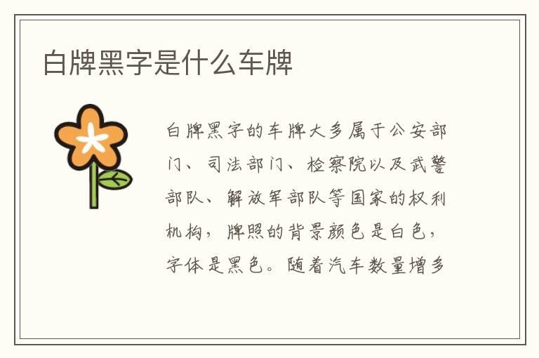 白牌黑字是什么车牌