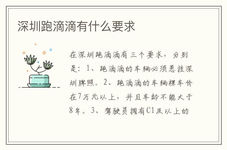 深圳跑滴滴有什么要求