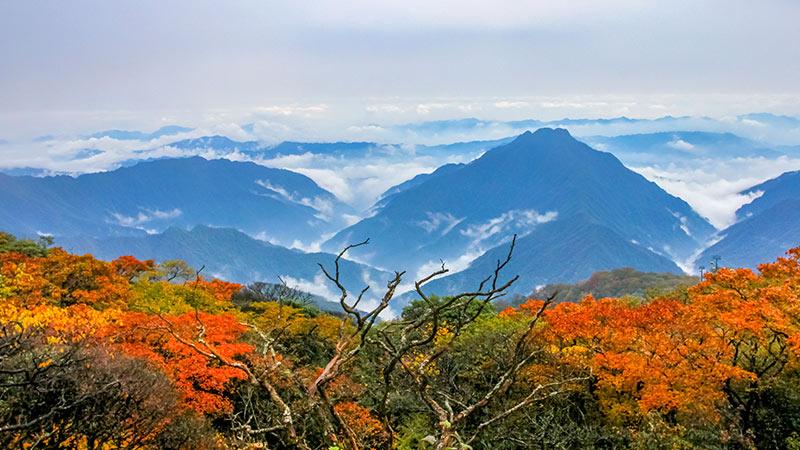 夏至和立秋哪个更热