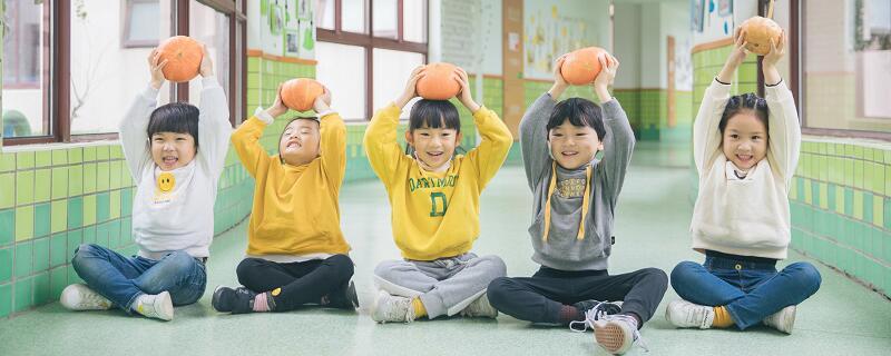 幼儿园保教费什么意思