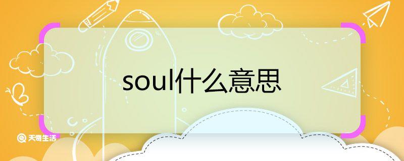 soul什么意思